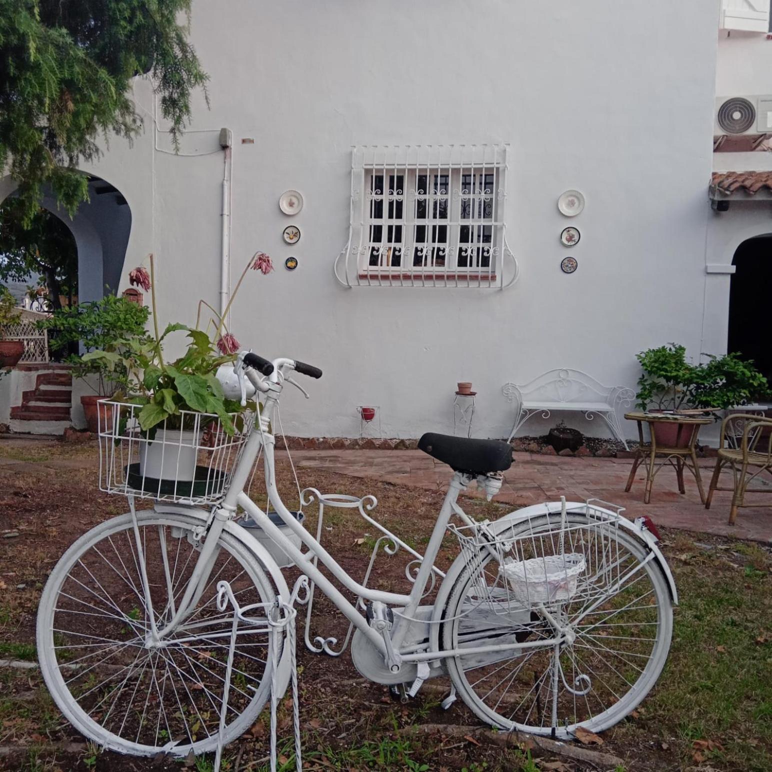 Da Tea Bed and Breakfast San Teodoro  Exterior foto